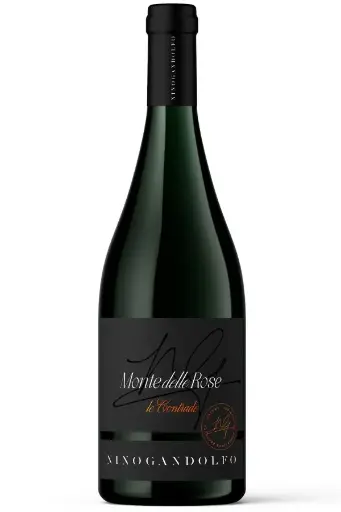 Nino Gandolfo - Monte delle Rose